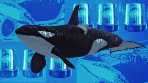 每日要闻：加密货币鲸鱼DeFi交换损失近5000万美元，贝莱德质押以太坊ETF首日表现'非常稳健'