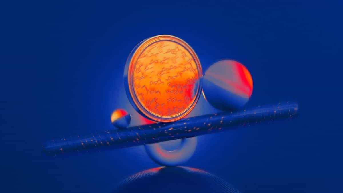 Kalshi与Polymarket加强内幕交易控制以应对参议院审查