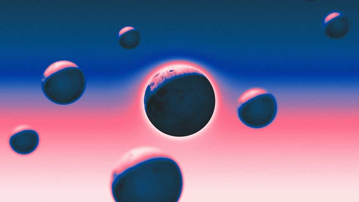 DeFi借贷协议Moonwell遭遇治理攻击：1800美元投票威胁百万资金安全