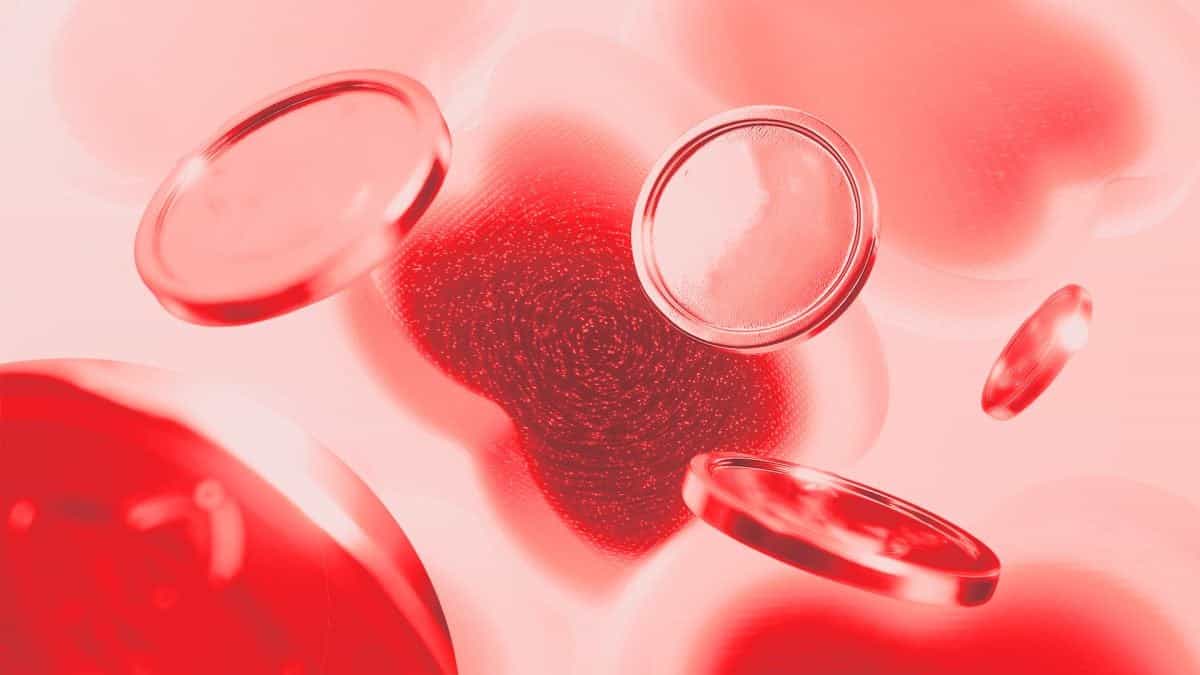 前摩根士丹利高管加入代币化公司Streamex担任首席财务官