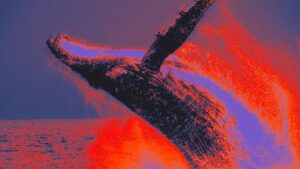 加密货币鲸鱼用5000万美元USDT兑换AAVE，因滑点损失近5000万美元