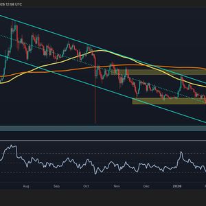 瑞波币价格分析：XRP/BTC交易对为何发出重大警告信号