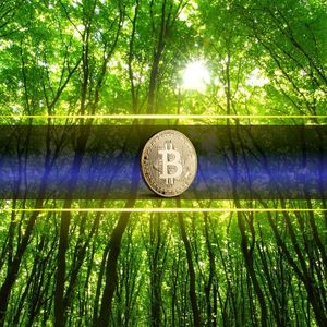 地缘政治未能击垮比特币：分析师看好8万美元上行空间