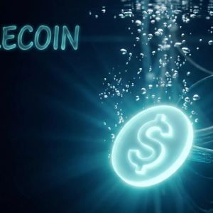 Circle纳米支付测试网上线：实现免Gas费USDC微交易