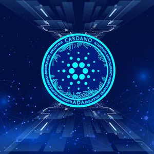 Cardano DeFi活动大幅飙升，为何价格仍挣扎在0.3美元下方？