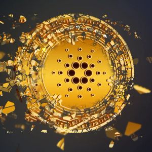 Cardano坚守关键支撑位，链上活动激增暗示趋势反转