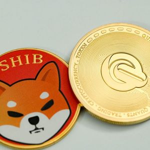 Shiba Inu期货净流入暴涨1549%：多头能否重掌控制权并引爆爆炸性反弹？