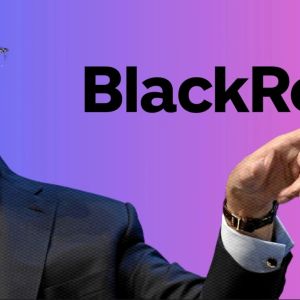 BlackRock CEO将代币化比作1996年的互联网：金融市场的革命性变革