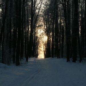 比特币面临熟悉十字路口：中期周期转向看跌，分析师警告