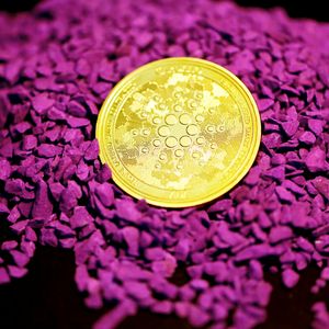 Cardano需暴涨695%才能触及2美元？交易员称一周内可实现