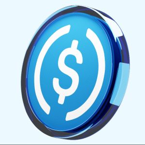 Circle的USDC在2025年迎来史上第二佳表现