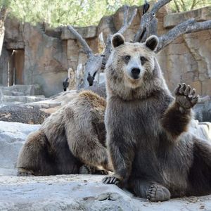 超40%山寨币逼近历史低点，跌幅超上一轮熊市