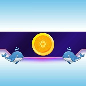 一周内增持2.2亿ADA：Cardano鲸鱼知道我们不知道的秘密吗？