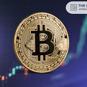 比特币尚未出现过去熊市中见证的盈利结构重置