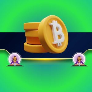 比特币鲸鱼大举增持，但分析师警告：别急着看涨