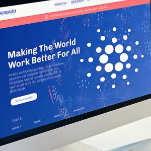 Cardano在价格横盘和高质押率中显现积累迹象