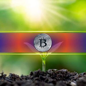 比特币未平仓合约暴跌50%，市场蓄势待发迎接大波动