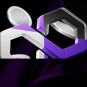 Polygon Labs计划筹集1亿美元资金，加速支付业务扩张