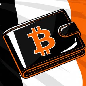 法国推进法律强制要求披露自我托管资金