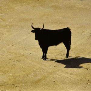 比特币流动性轮动再度看涨：稳定币避险资金开始回流