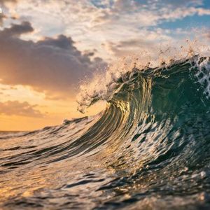 Wisdomtree：机构转向收益产品，稳定币市场面临结构性重新定价