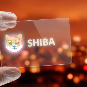 Shiba Inu未平仓合约下跌超7%，交易活动显著放缓