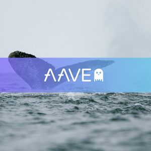 鲸鱼在混乱中围猎AAVE：这是又一个市场底部信号吗？