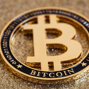 尽管具备避险属性，比特币为何仍表现为风险资产？