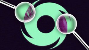 Tornado Cash开发者Roman Storm